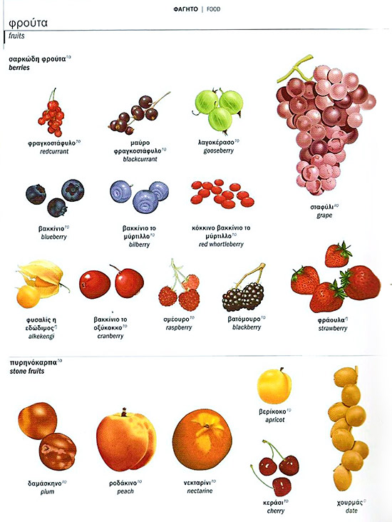 greek-visual-dictionary-fruit